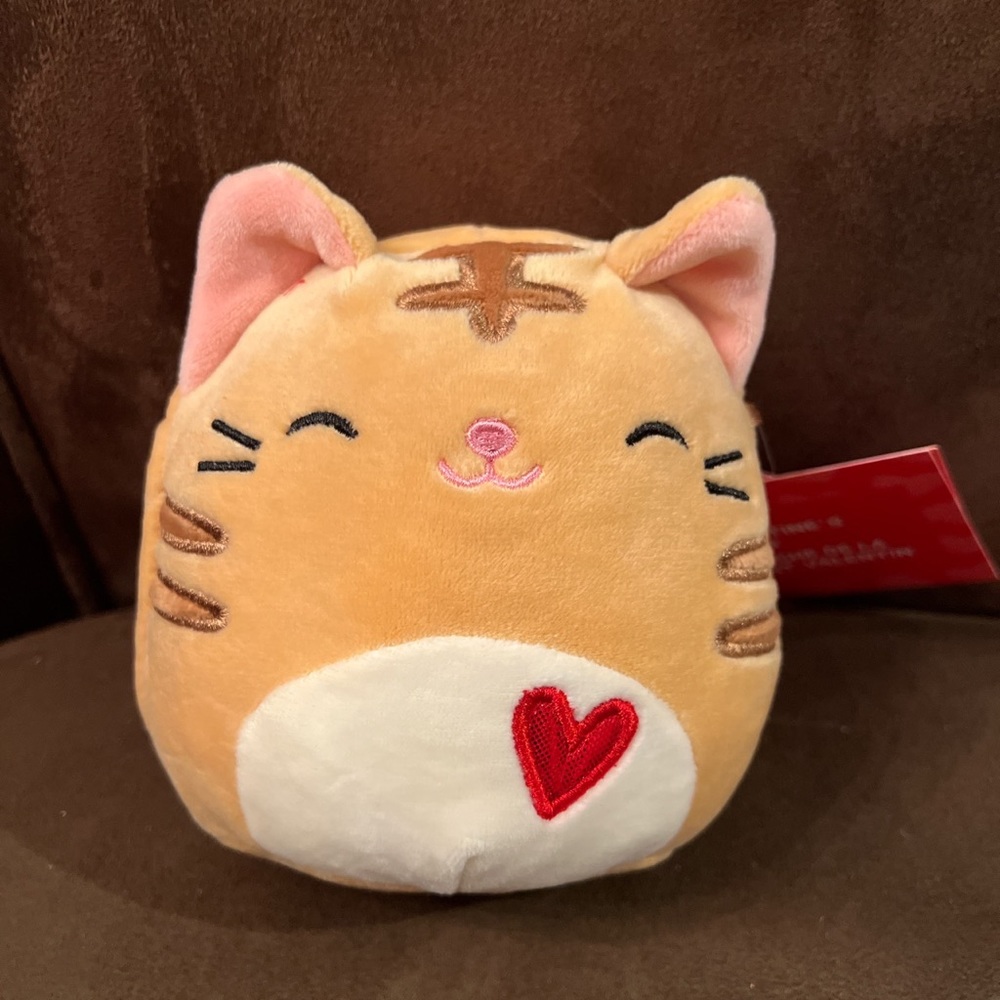 Squishmallow Cat 5” Nathan Valentine’s Plush